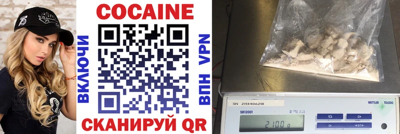 COCAIN Fish Scale  Купить закладки  Минеральные Воды 