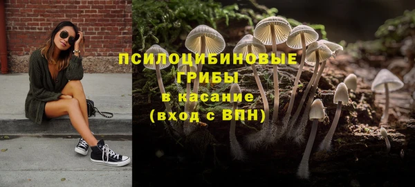 соль курить ск Арсеньев
