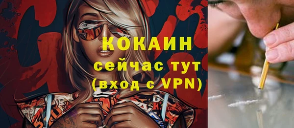 гидра Аркадак