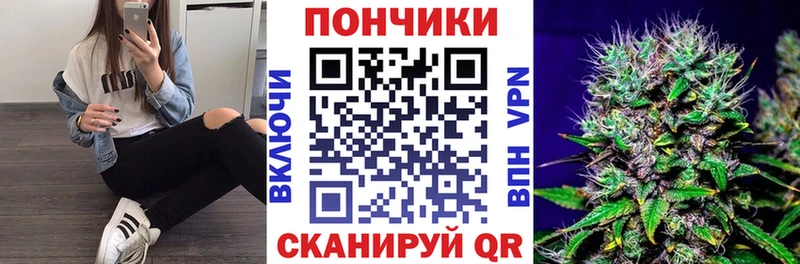 Бошки марихуана гибрид Минеральные Воды